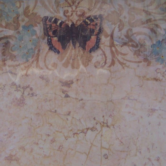 GEOGRAPHICS Marble Butterfly GeoPaper (100 sheets) - Picture 2 of 5